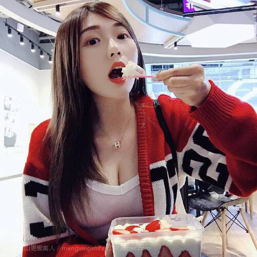 掘金核心举办“宠物慈善赛”，萌宠与篮球同台