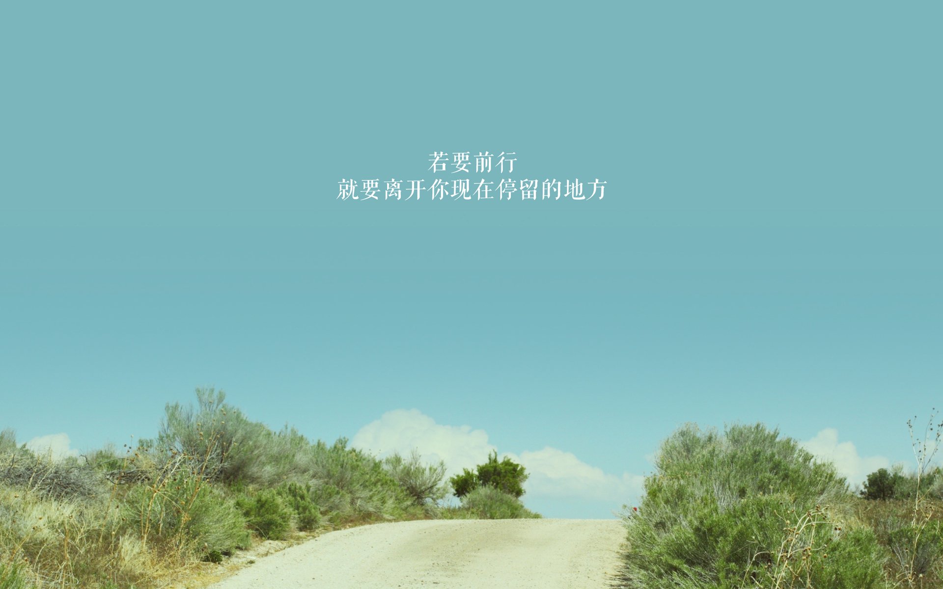 开运app官网-中国球迷在卡塔尔世界杯现场力挺阿根廷，卡塔尔2022世界杯中国队